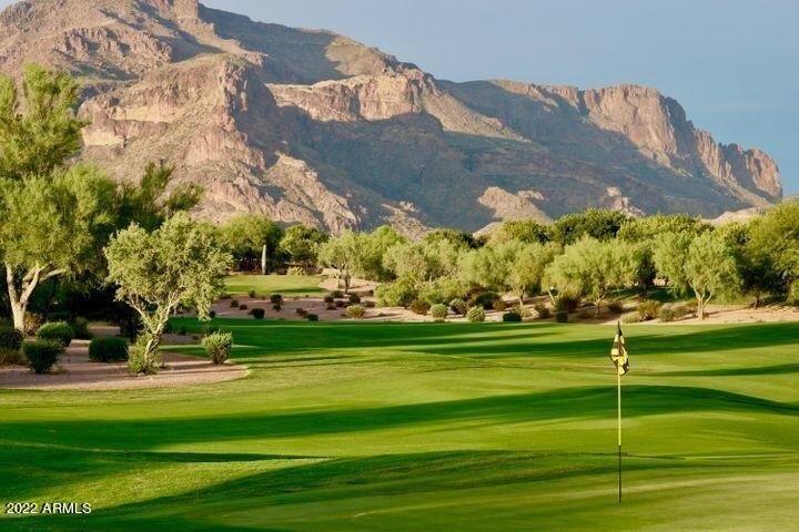 S Weeping Willow Ct, Gold Canyon, AZ 85118