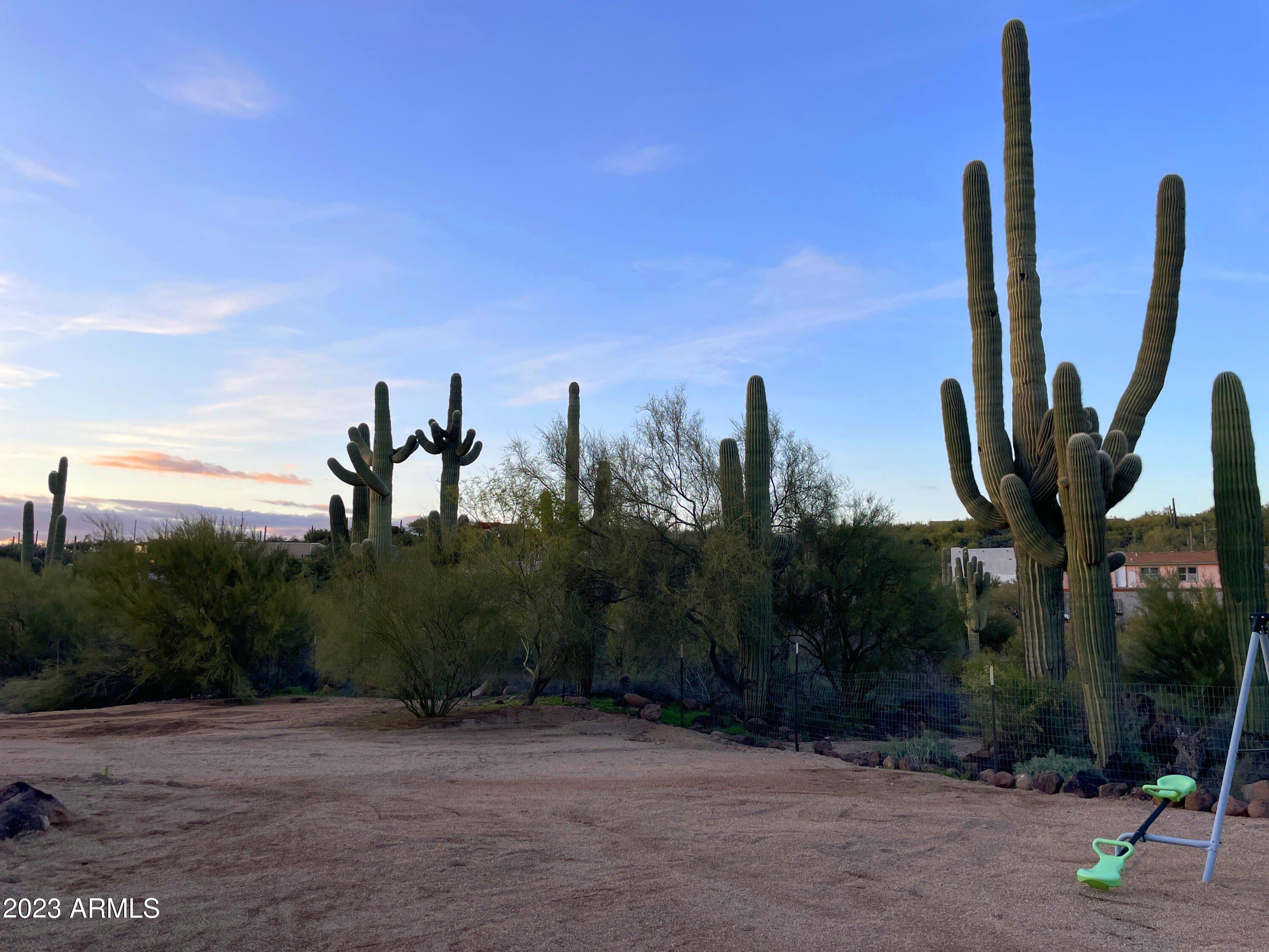 E Filoree Ln, New River, AZ 85087