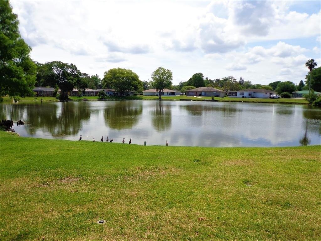 Summertree Ln, New Port Richey, FL 34653