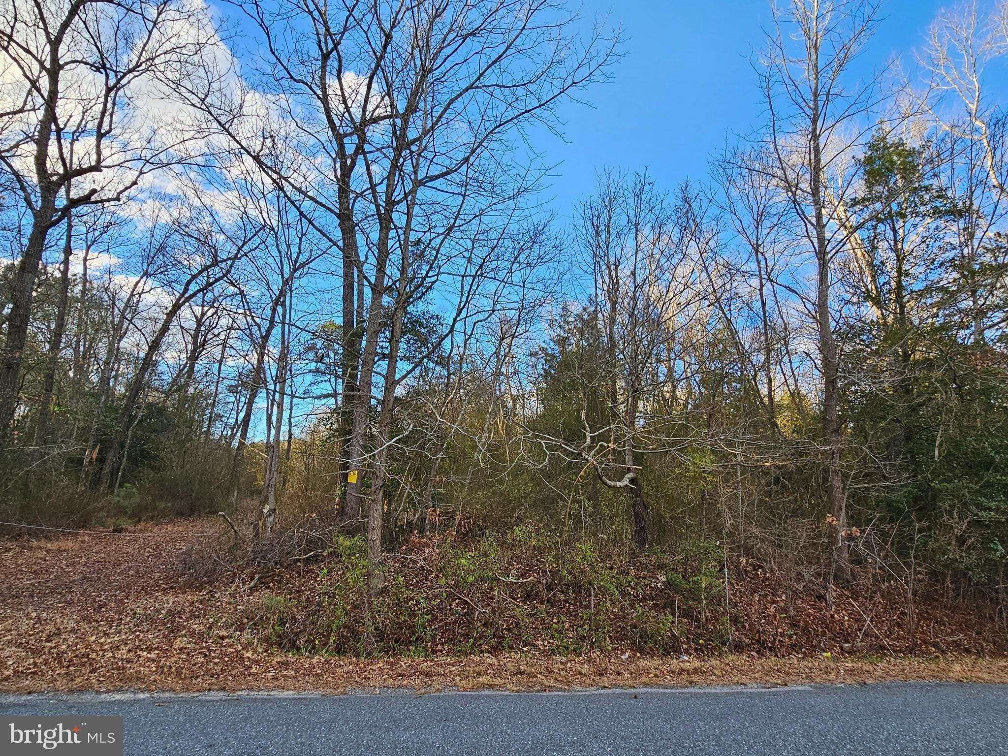 Guy Ward Rd, Parsonsburg, MD 21849