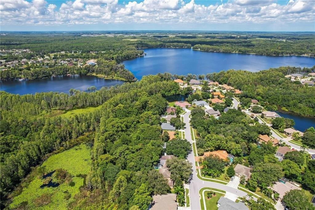 Preservation Dr, Land O Lakes, FL 34638