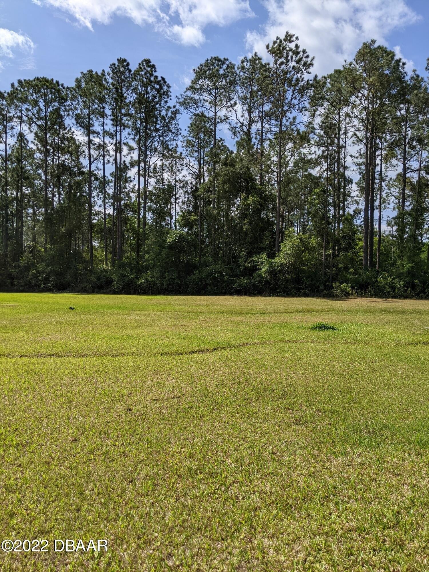 Cinnamon St, Bunnell, FL 32110