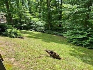 Hookers Gap Rd, Candler, NC 28715
