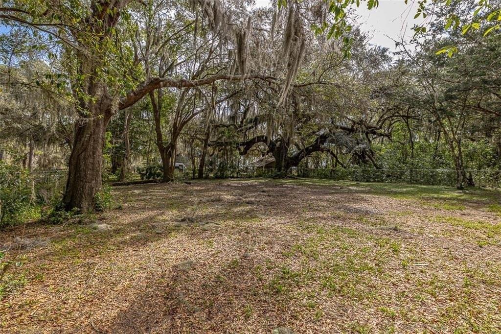 Wayne St, Darien, GA 31305