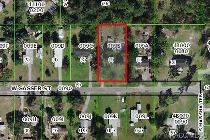 W Sasser St, Homosassa, FL 34446
