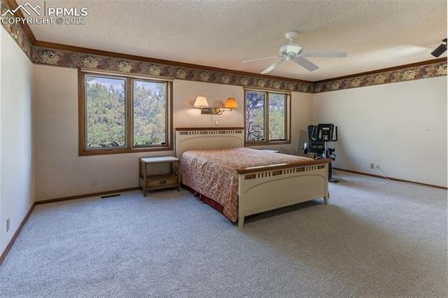 Wynwood Ter, Colorado Springs, CO 80919
