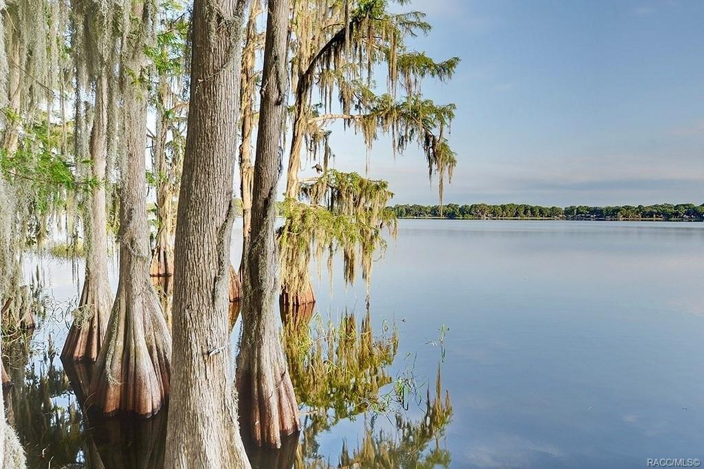San Remo Cir, Inverness, FL 34450
