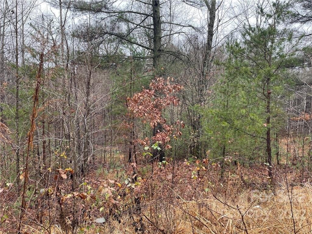 Kite Dr, Lenoir, NC 28645