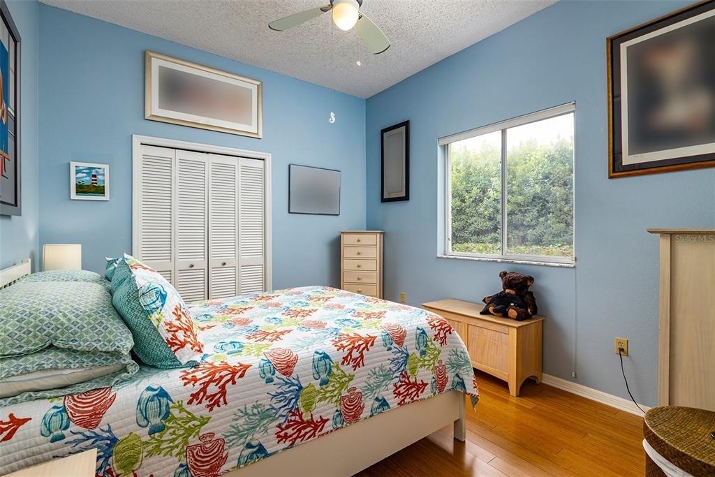 Wellington Pkwy, Palm Harbor, FL 34685