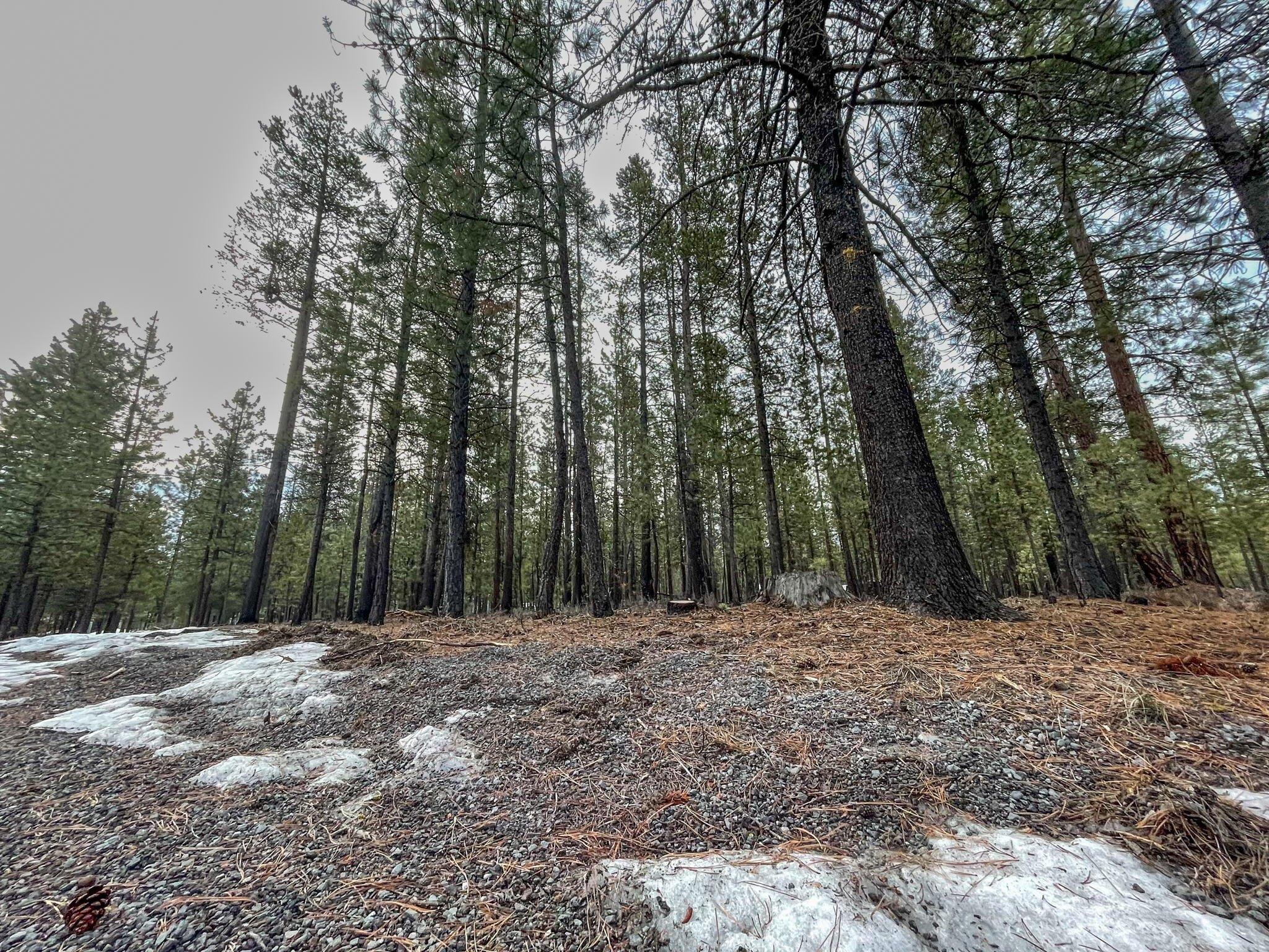 Ponderosa Loop, La Pine, OR 97739