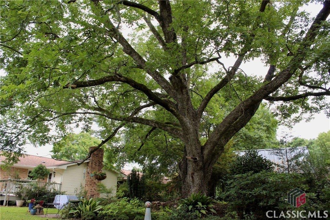 Barnett Shoals Rd, Athens, GA 30605