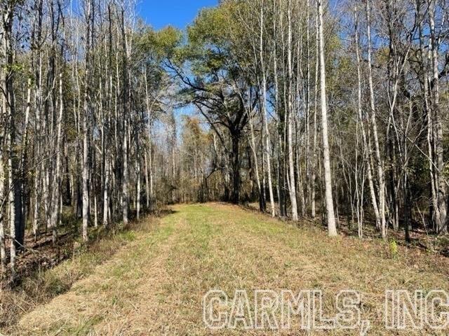 Irene Cir, Greenbrier, AR 72058