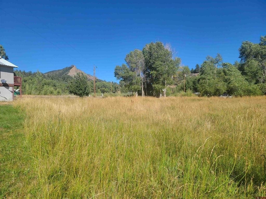 Caballo Pl, Pagosa Springs, CO 81147