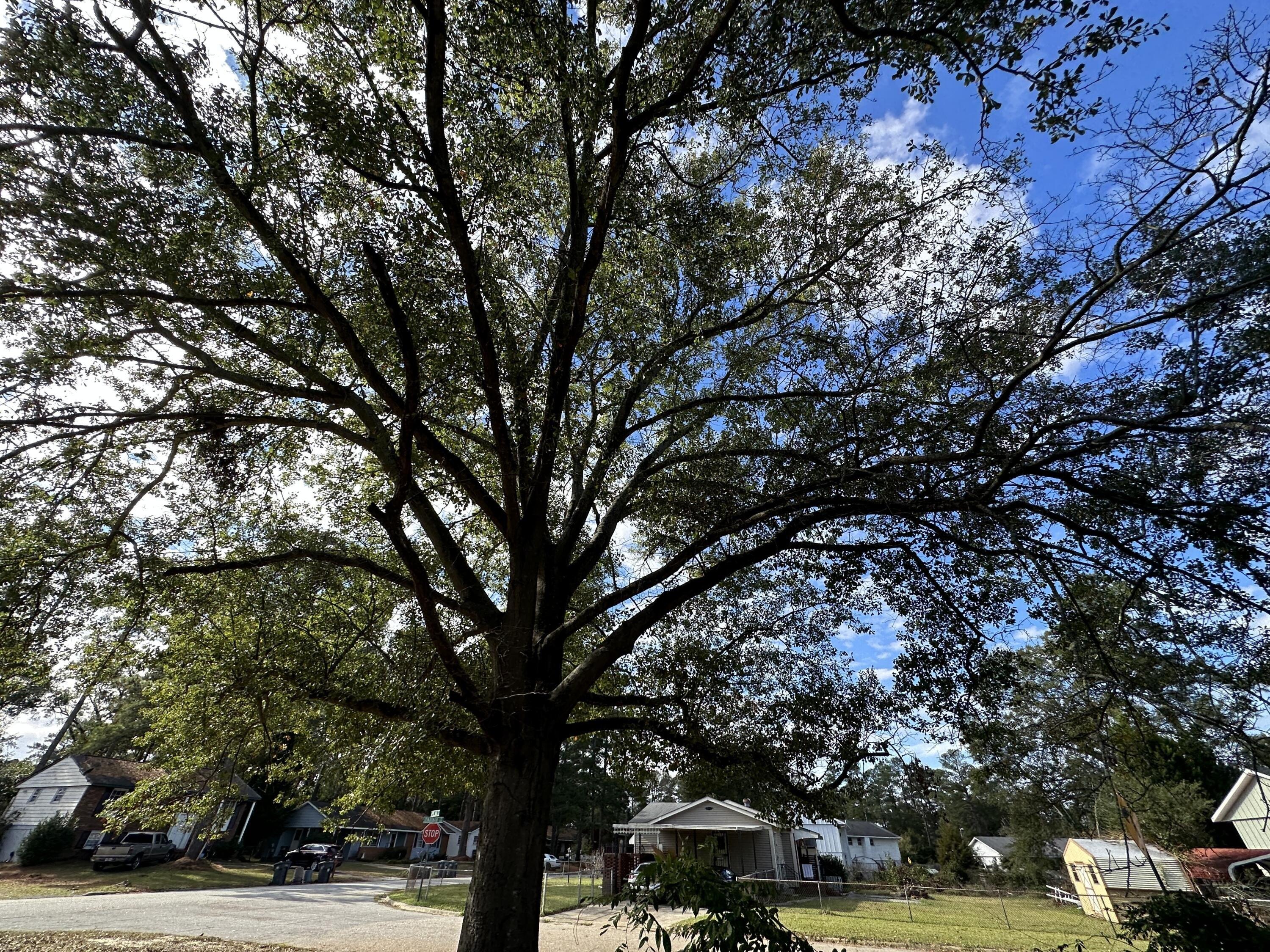 Jonathan Cir, Augusta, GA 30906