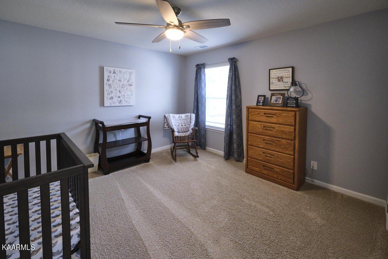 Cornflower Ln, Mascot, TN 37806