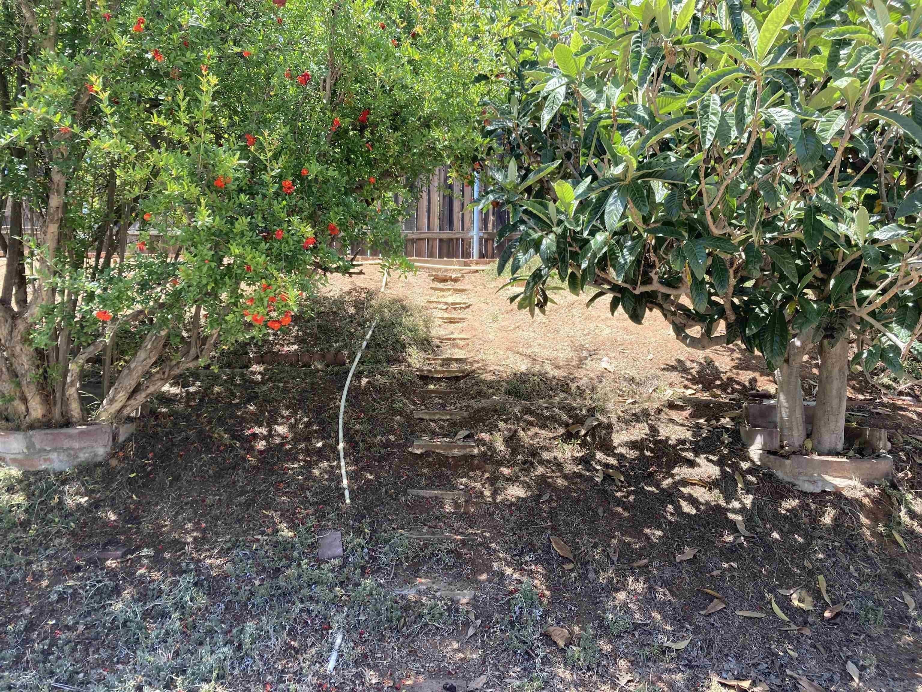 Terrace Ave, Escondido, CA 92026