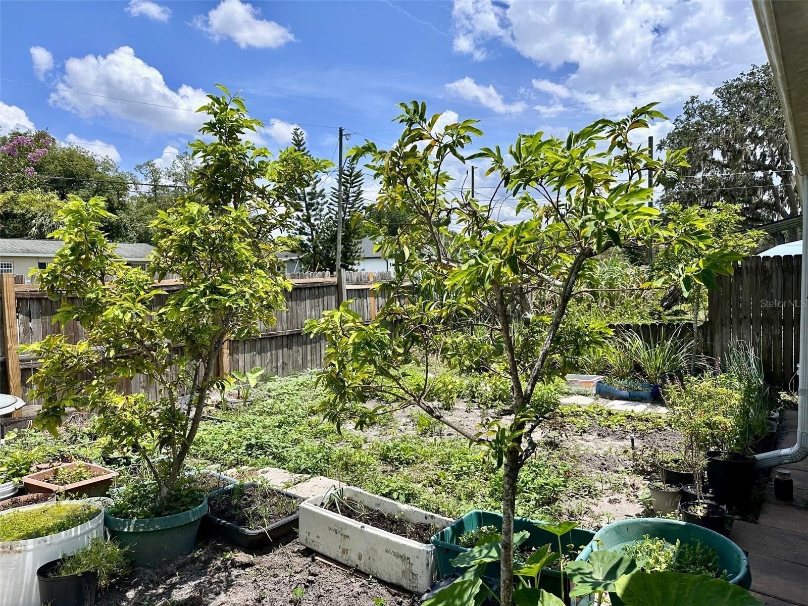 Timor Ave, Orlando, FL 32804