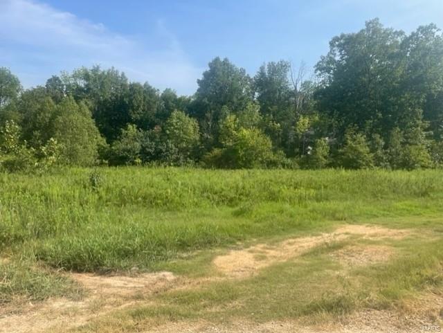 Rhett Ln, Poplar Bluff, MO 63901
