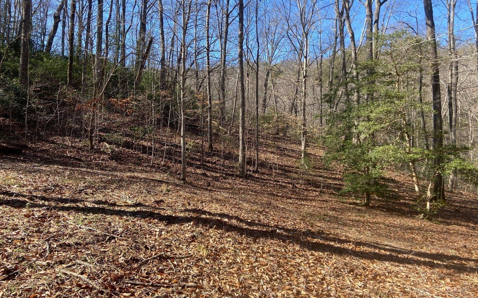 Youngblood Dr, Blairsville, GA 30512