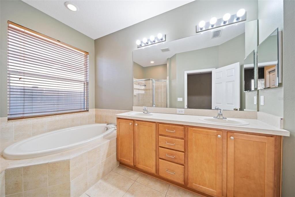 Silvermill Loop, Land O Lakes, FL 34638