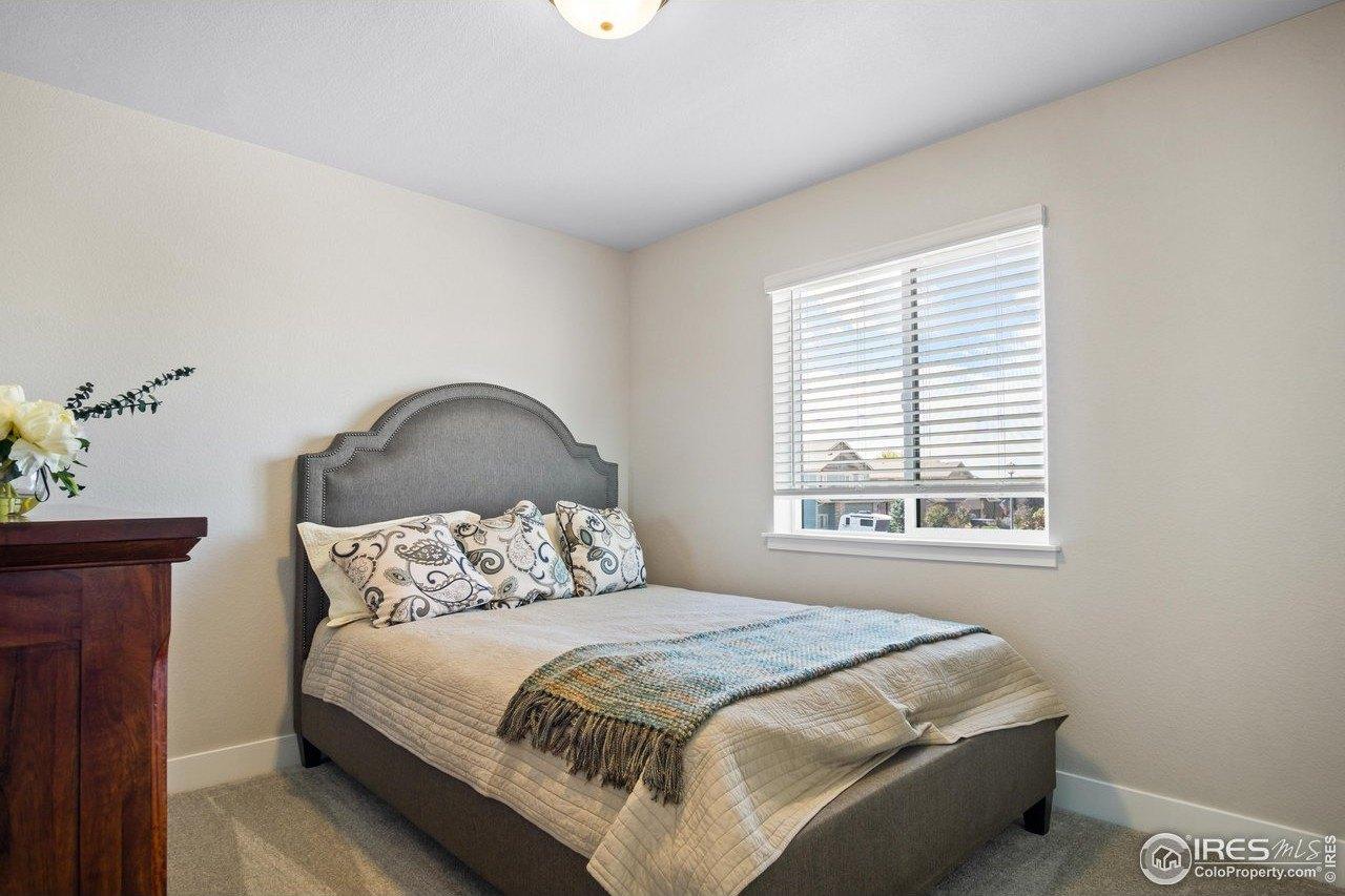 Red Jewel Dr, Windsor, CO 80550