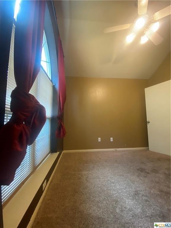 Skyview, Temple, TX 76502