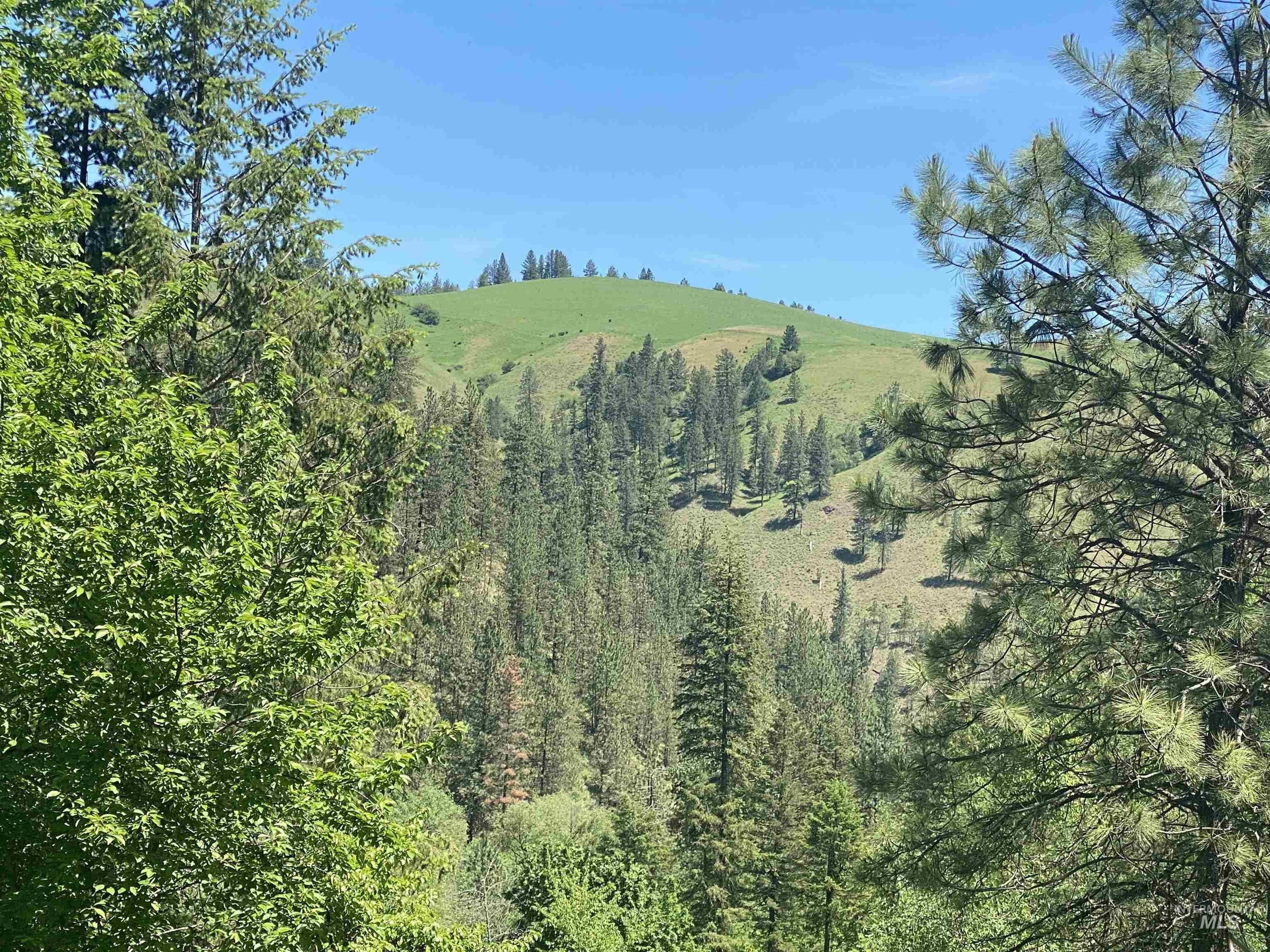 Old Melrose Grade Rd, Peck, ID 83545