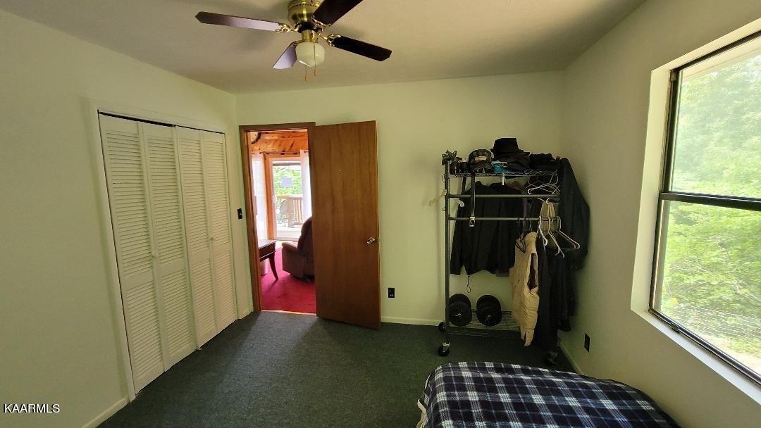 Nettleton Rd, Harrogate, TN 37752