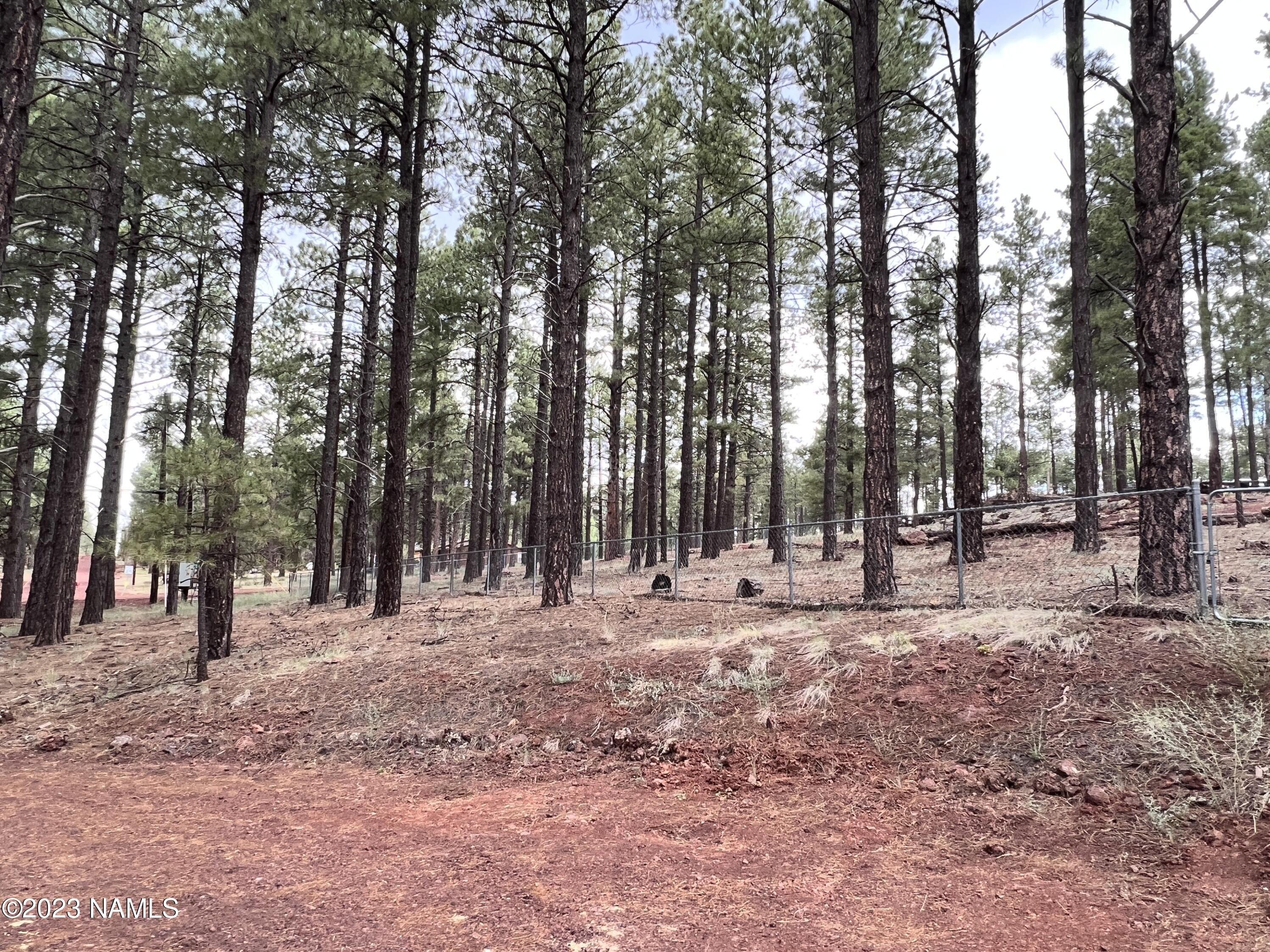 S Friar Tuck Trl, Williams, AZ 86046
