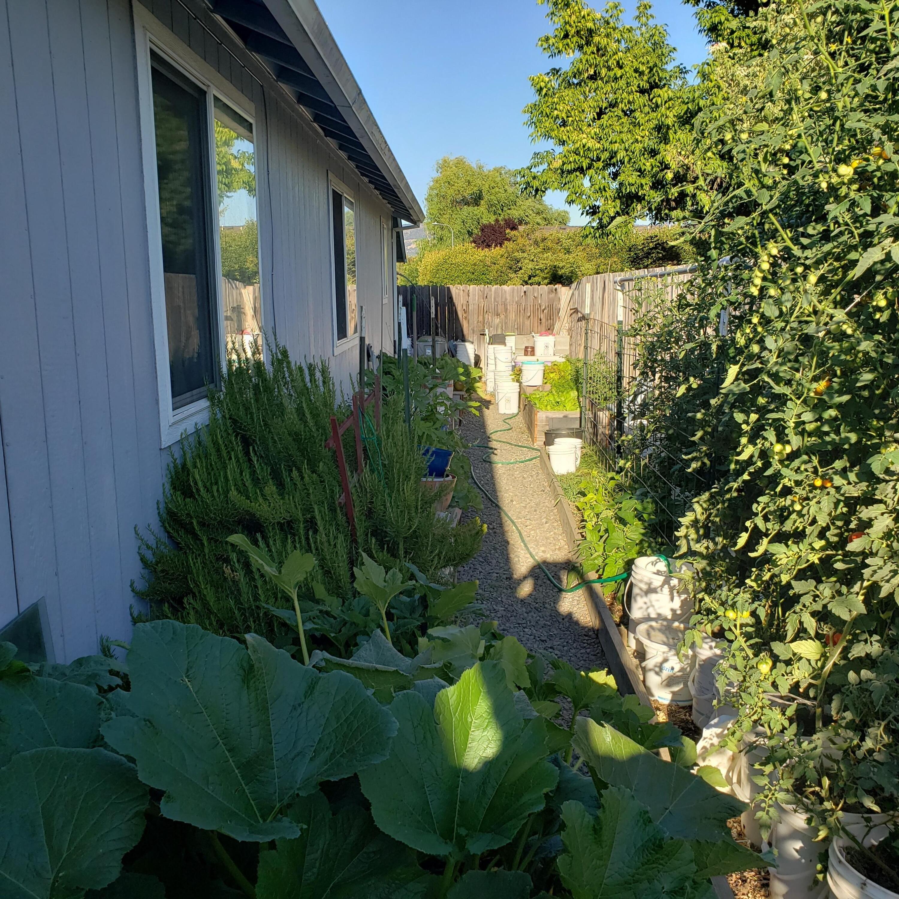Regal Ave, Medford, OR 97501