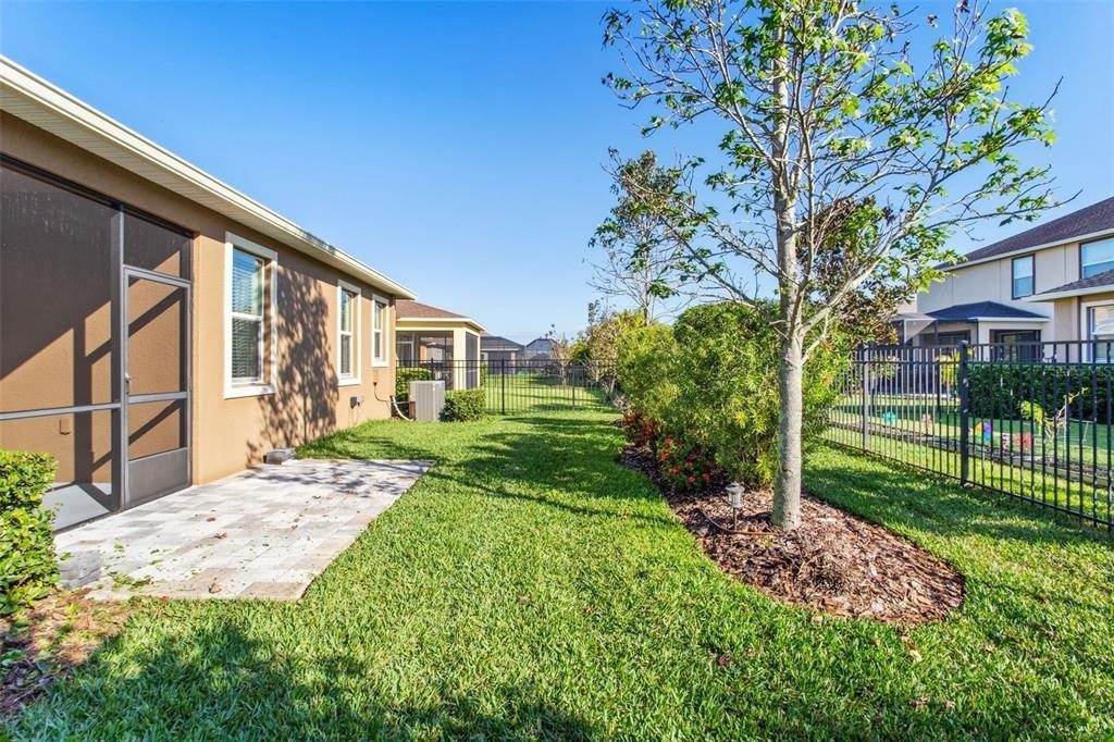 Crayford Ct, Land O Lakes, FL 34638