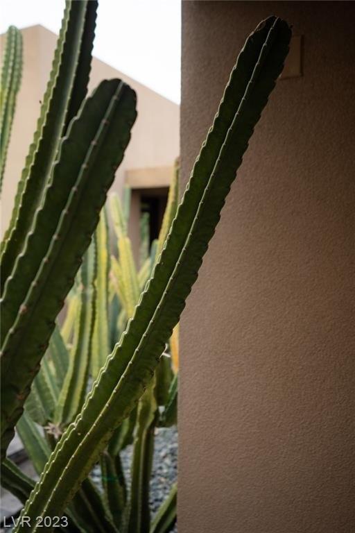 Agave Azul Ct, Las Vegas, NV 89120