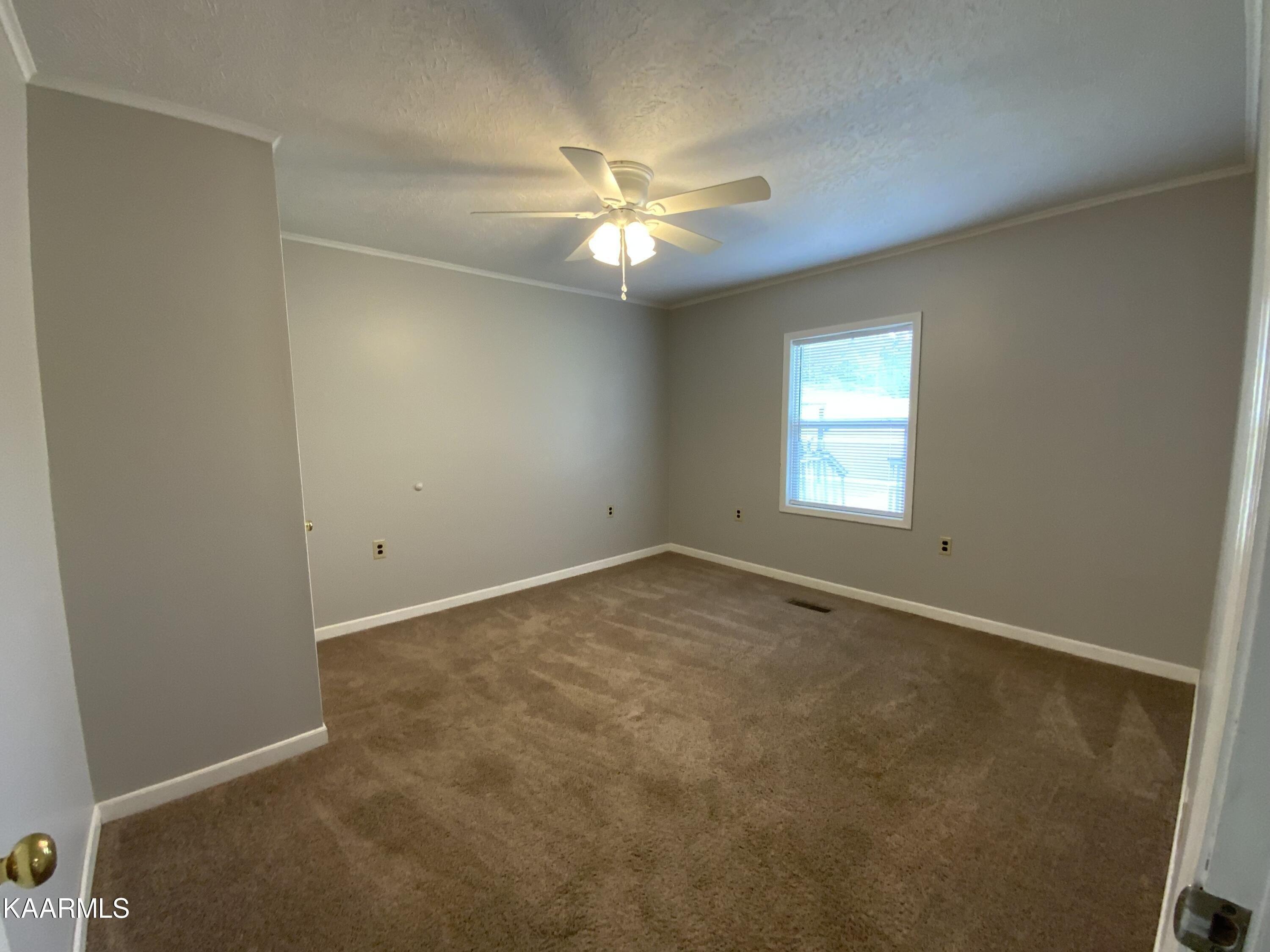 Bernard Ave, Rockwood, TN 37854