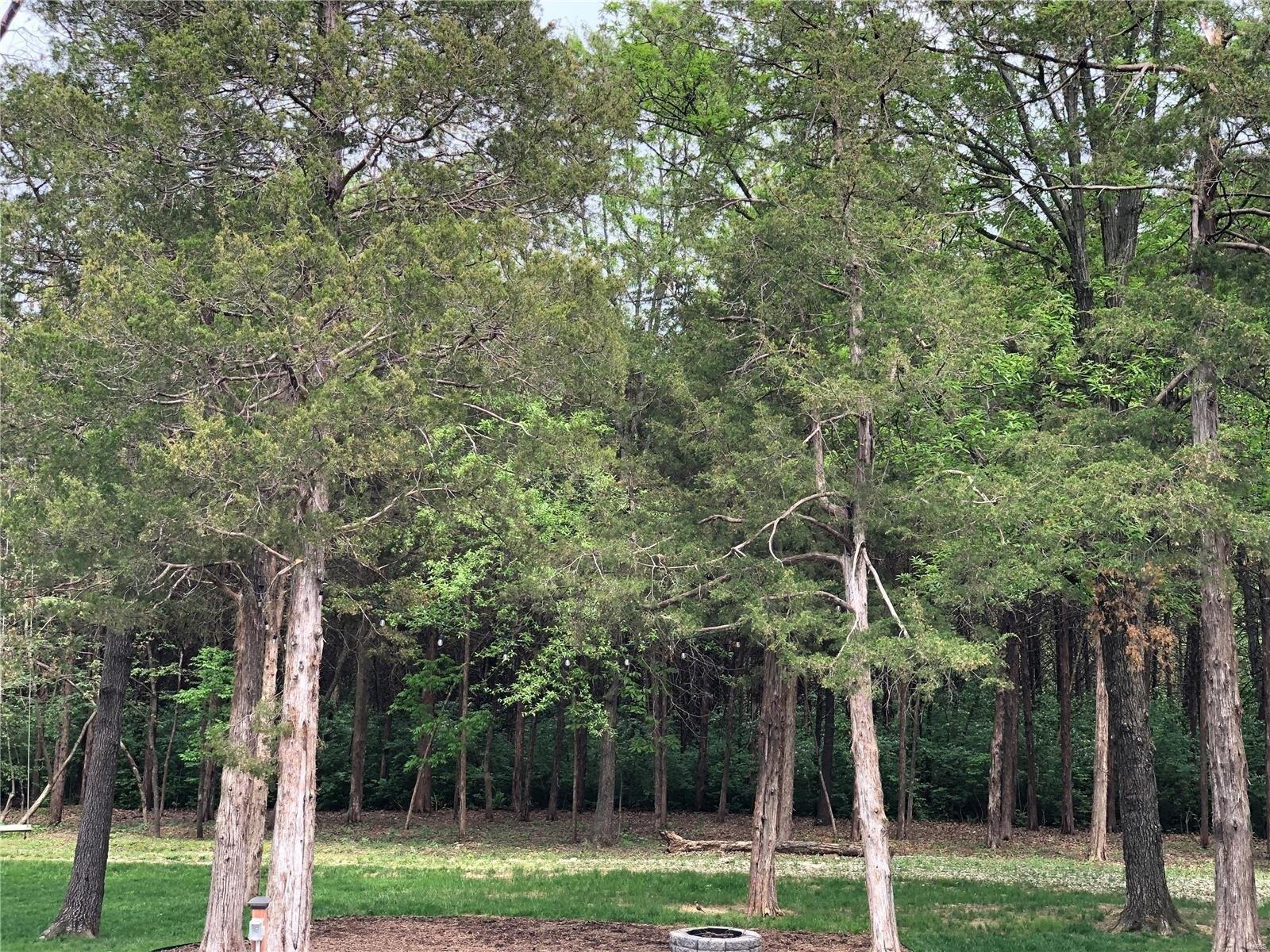 Lake Tucci Cir, Wright City, MO 63390