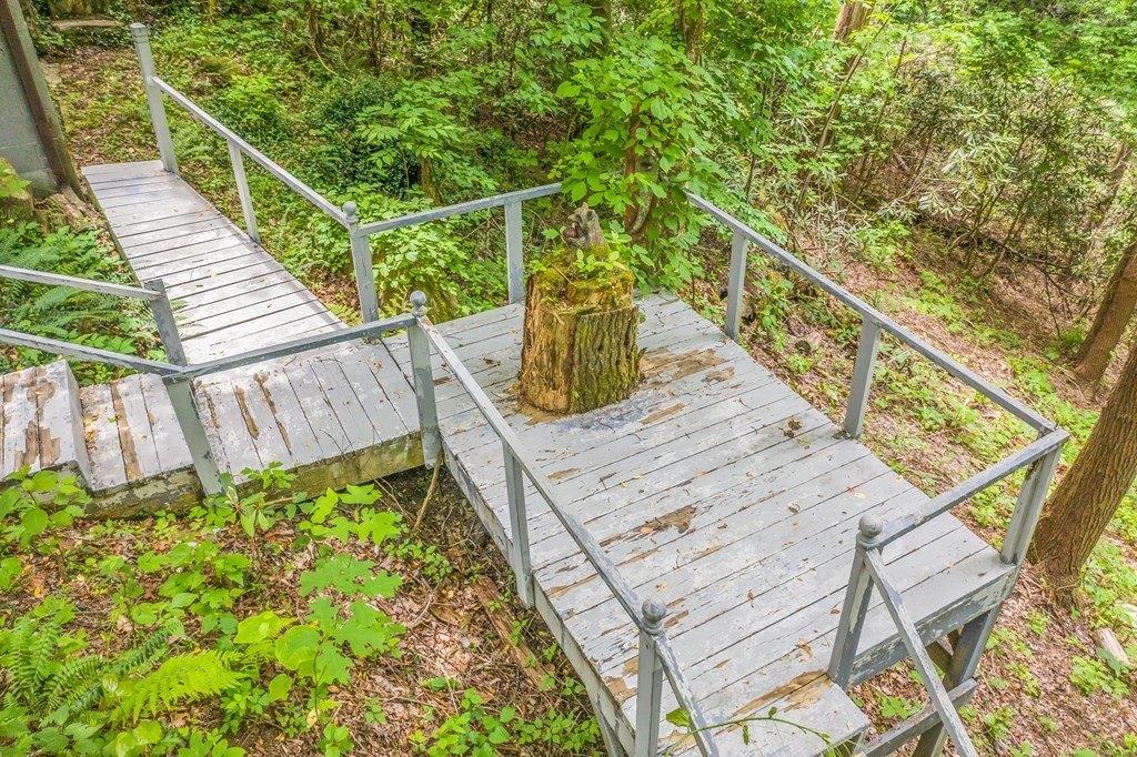 Cricket Hollow Rd, Cosby, TN 37722