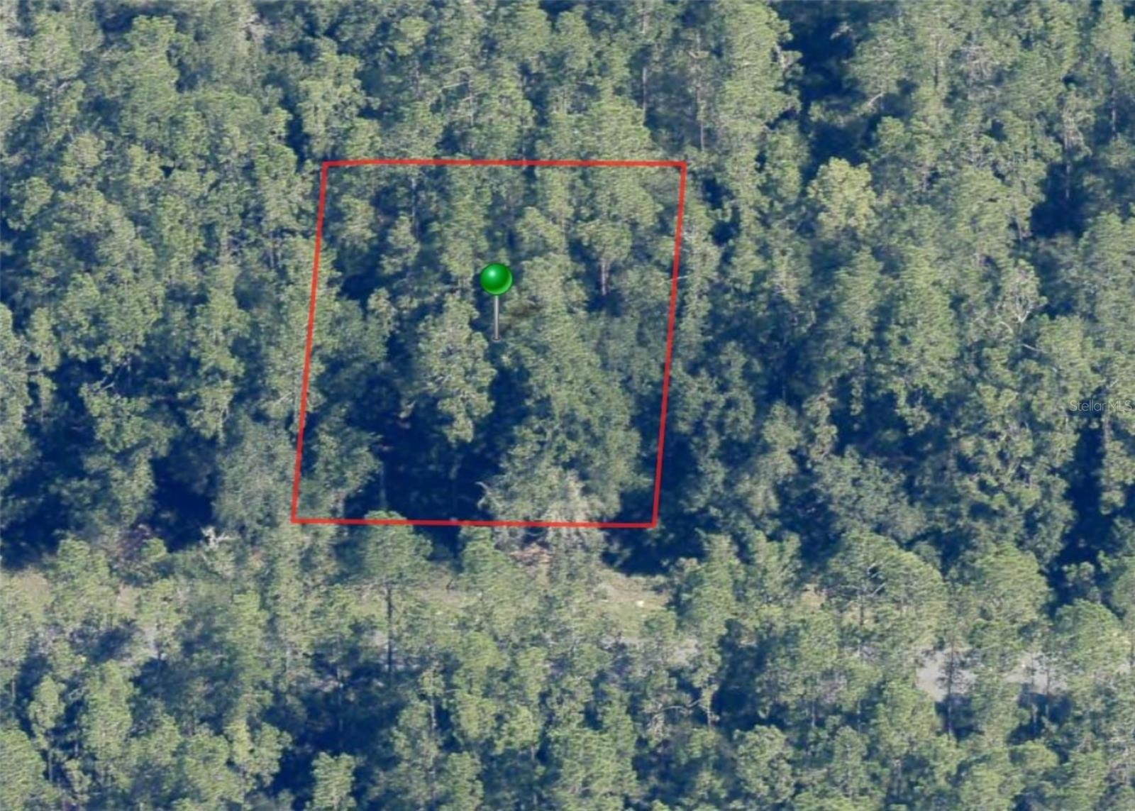 Sw 110th St, Dunnellon, FL 34432