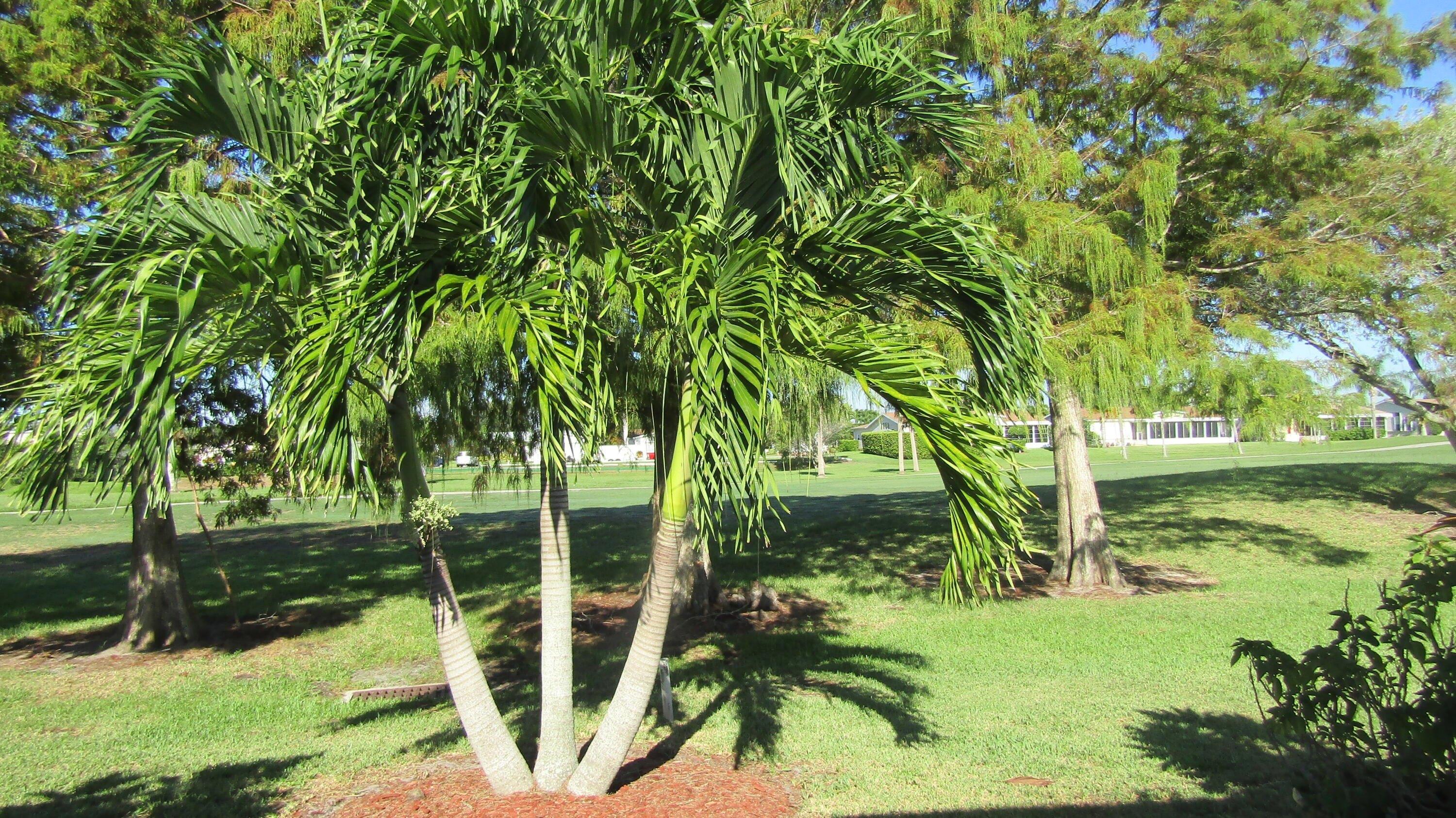 Meadowlark Ln, Port Saint Lucie, FL 34952