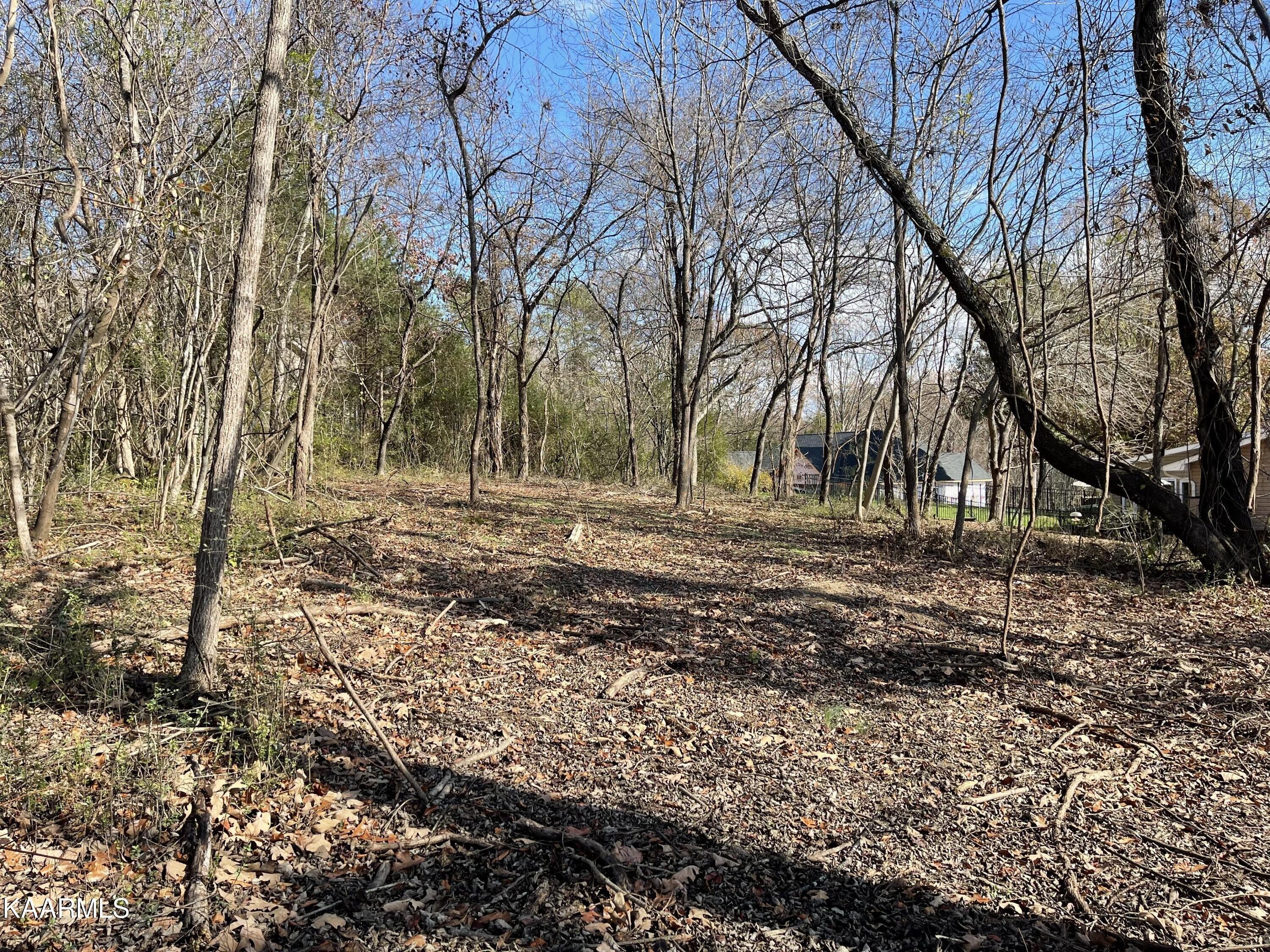 Daleyuhski Way, Loudon, TN 37774