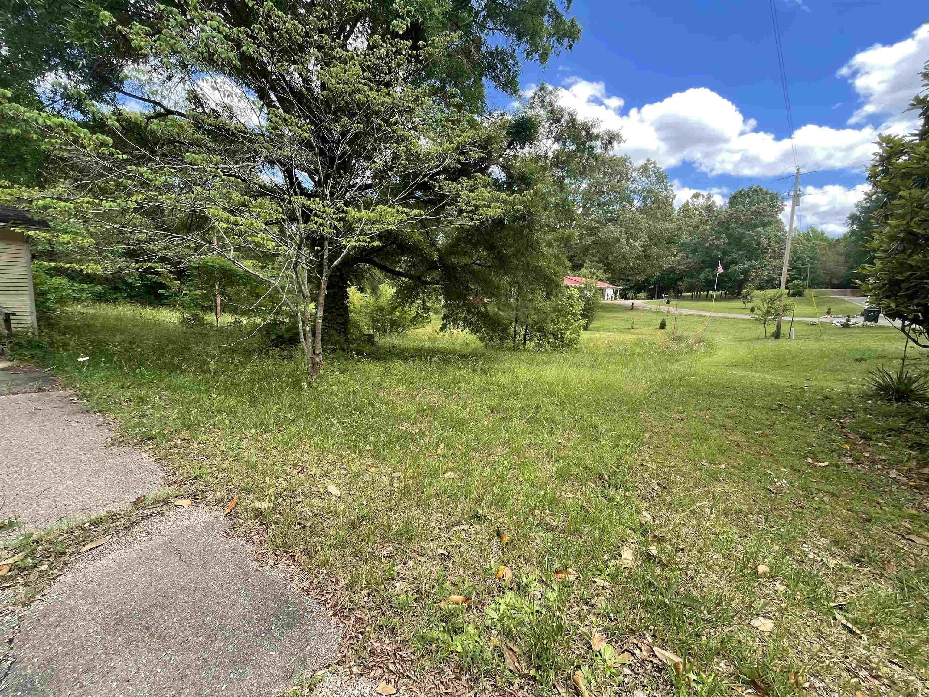 Kilburn Ln, Bethel Springs, TN 38315