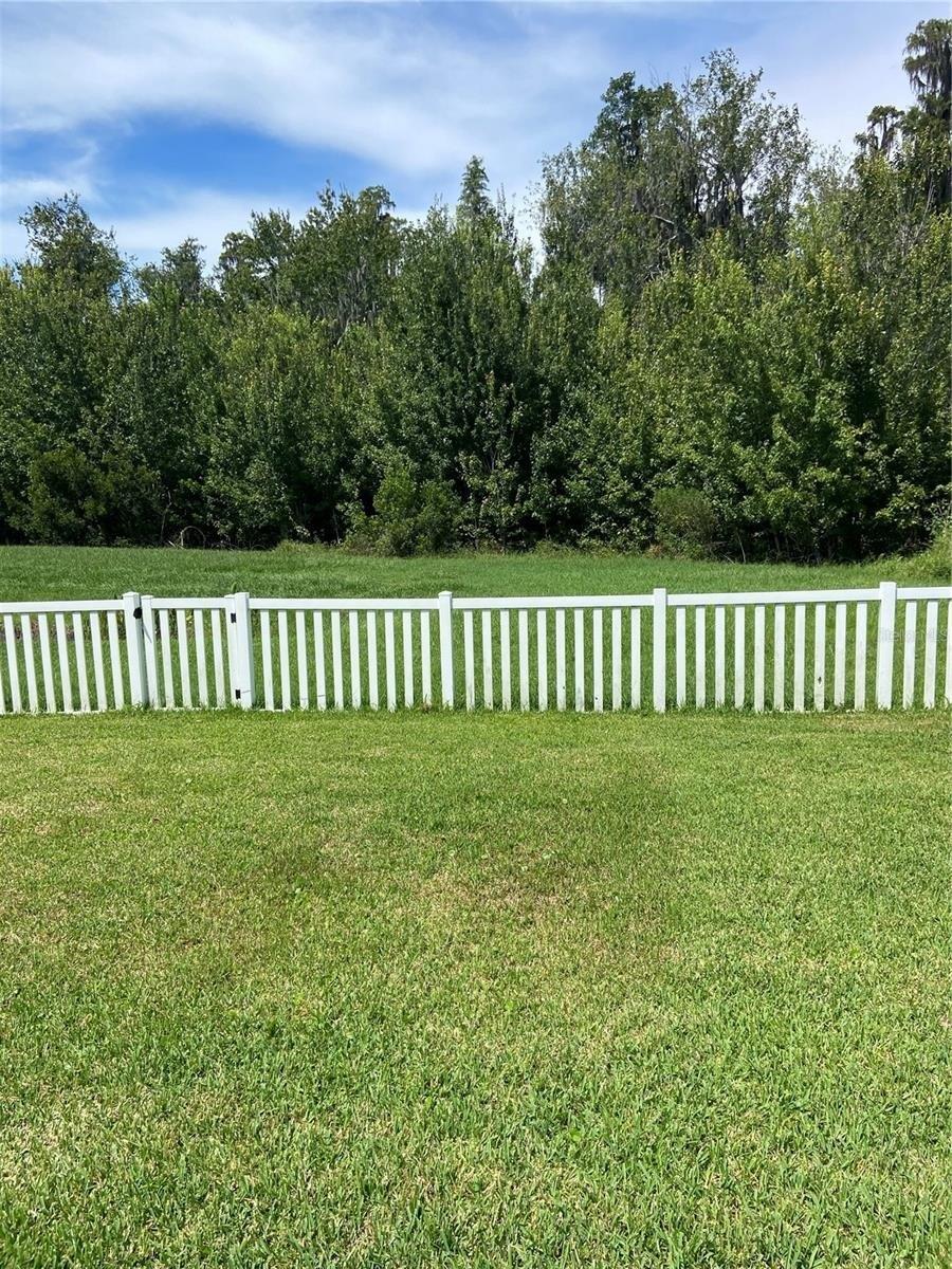 Paddock View Dr, Tampa, FL 33647