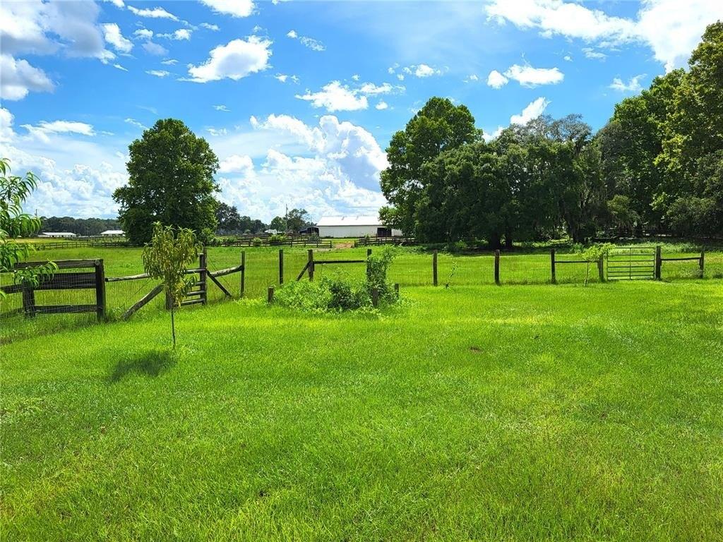 Sw 17th Ter, Bell, FL 32619