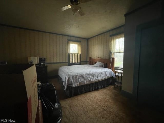 S Cedar Ave, Niles, OH 44446
