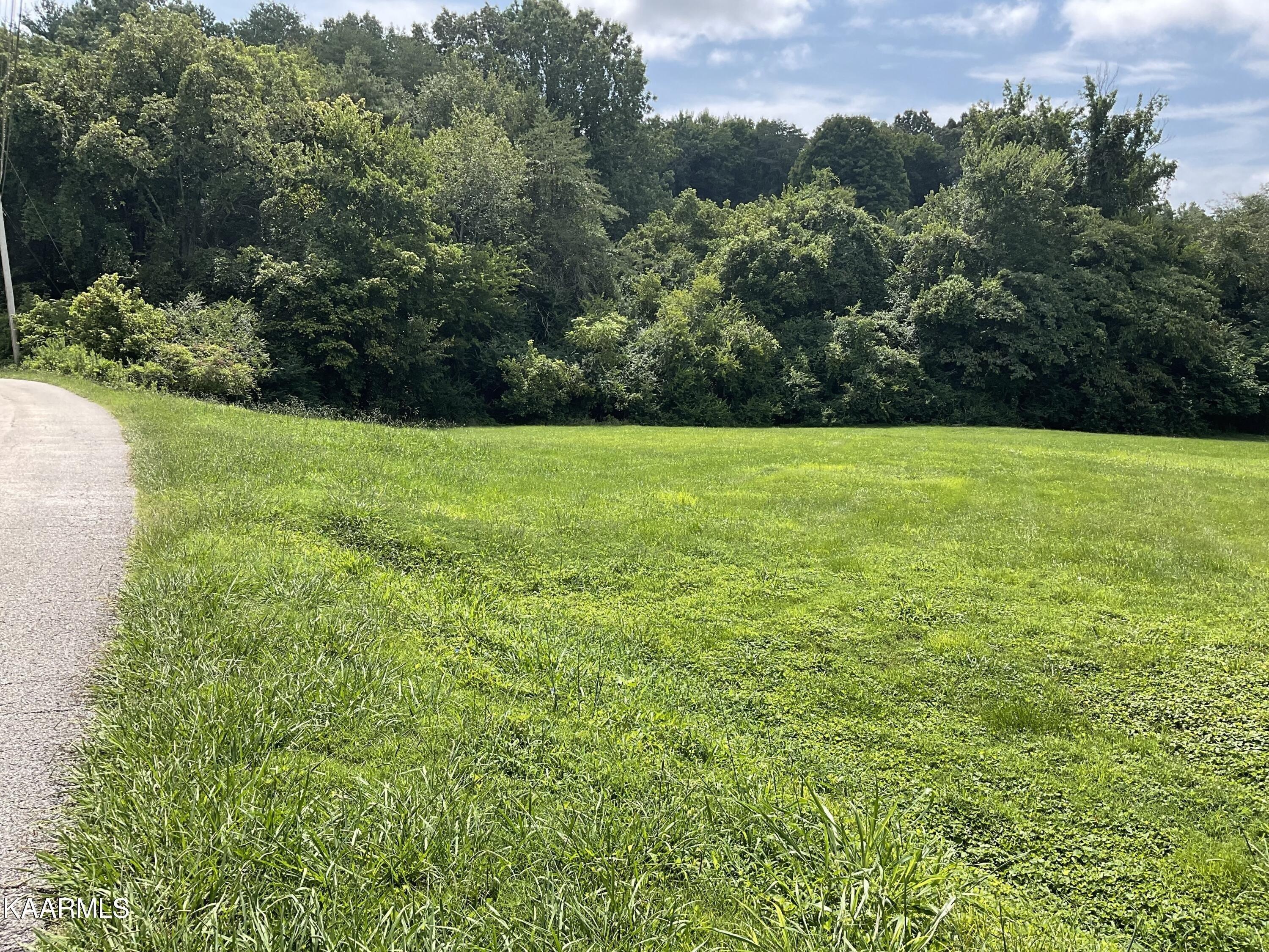 Cates Rd, Rockwood, TN 37854