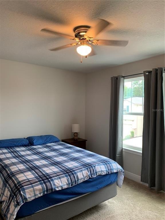Grand Sonata Ave, Lutz, FL 33558