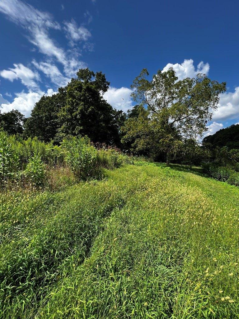 Midland Trl, Rainelle, WV 25962