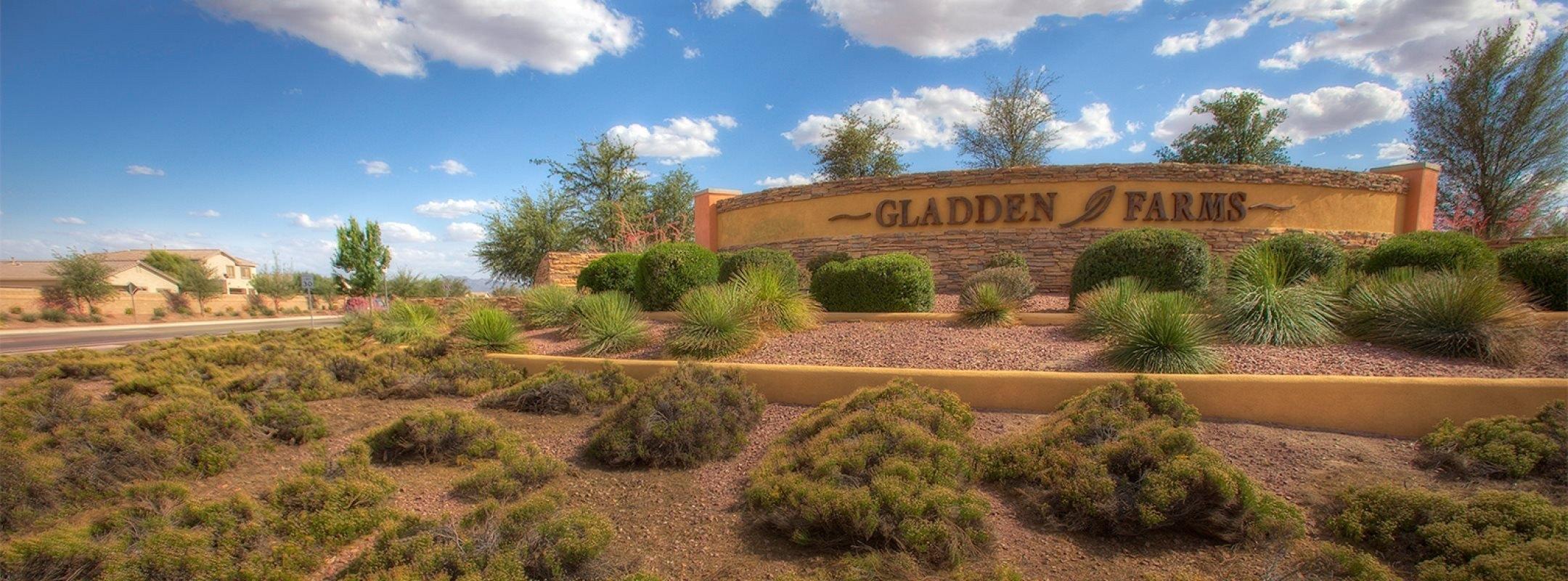 N Collamer Dr, Marana, AZ 85653