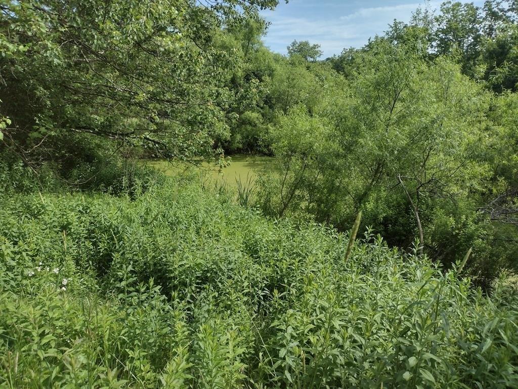 Hittown Rd, Pine City, NY 14871