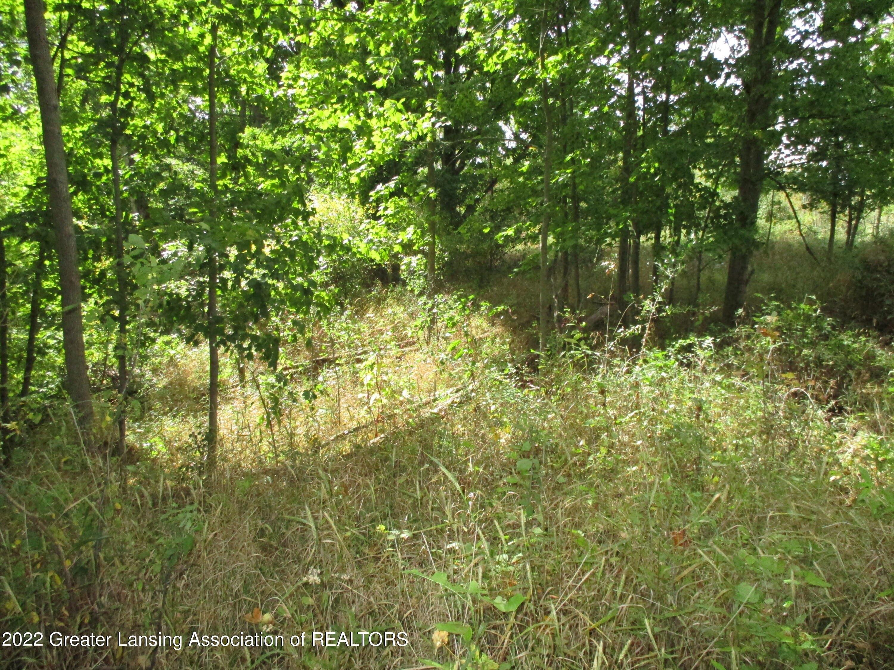 Matthews Rd, Charlotte, MI 48813
