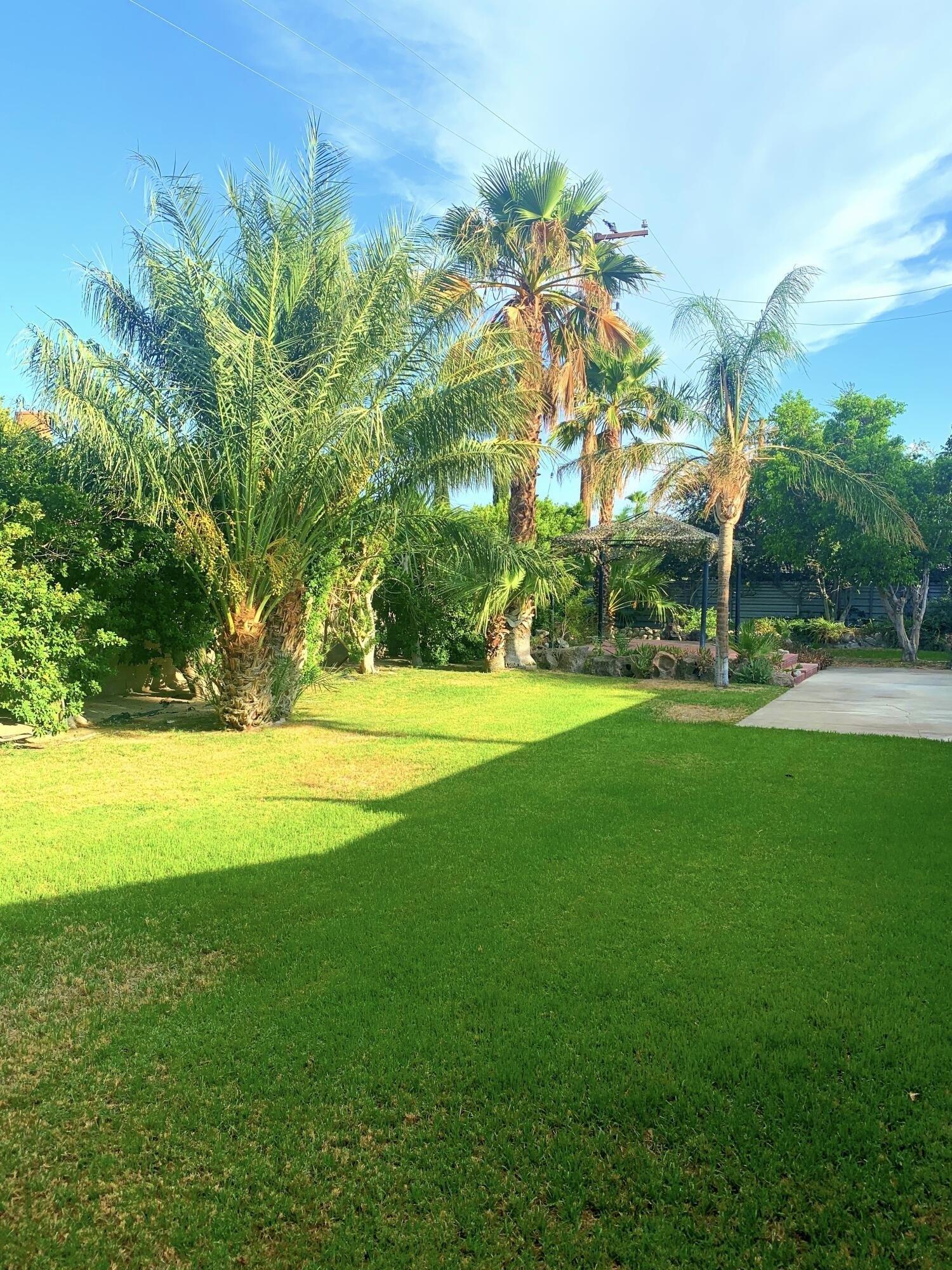 N Starr Rd, Palm Springs, CA 92262