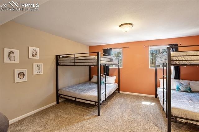 W Lorraine Ave, Woodland Park, CO 80863